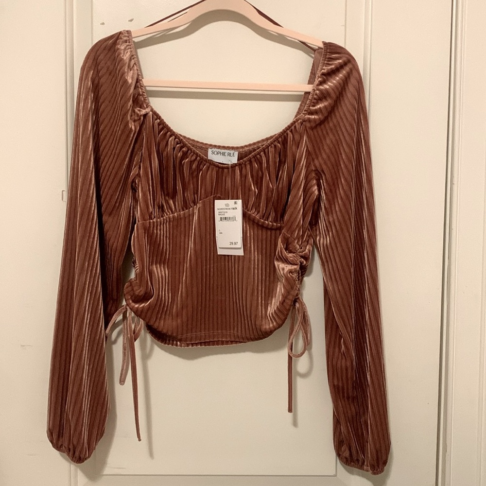 Sophie Rue Velvet Top - Picture 2 of 9